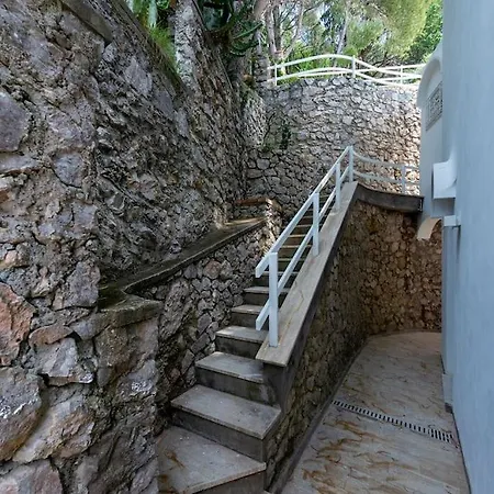 House Rosa Blu